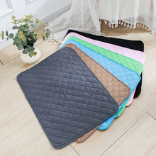 Reusable Dog Pee Pad Blanket – Absorbent, Washable Training Mat for Puppies, Pet Beds & Car Seat Covers