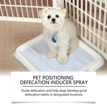 Dog Toilet Training Spray localized defecation inducer,Corrects ,Non-irritating,50ML
