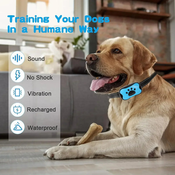 USB Rechargeable Anti-Bark Dog Collar – Ultrasonic & Vibration Training Device to Gently Stop Barking   <br> Kitten Pups - No Shock Pet Friendly