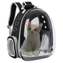 Transparent Bubble Pet Carrier Backpack – Breathable Travel Bag for Cats, Puppies, Kittens & Small Animals