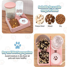 2 In 1 Automatic Cat Gravity Food & Water Dispenser Set Tilted Automatic
