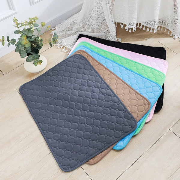 Reusable Dog Pee Pad Blanket – Absorbent, Washable Training Mat for Puppies, Pet Beds & Car Seat Covers
