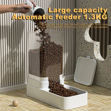 Automatic Pet Feeder & Water Dispenser with Gravity Food Storage Container for Cats and Dogs