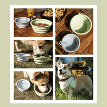 2pcs Collapsible Pet Silicone Dog Food Water Bowl Portable Folding Dishes with Carabiner