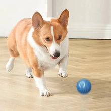Interactive Cat Ball Toy – Automatic Rolling with Faux Tail, Rechargeable Mouse-Like Toy for Cat & Dog Training