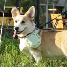 2pcs Collapsible Pet Silicone Dog Food Water Bowl Portable Folding Dishes with Carabiner