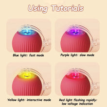 Interactive Cat Ball Toy – Automatic Rolling with Faux Tail, Rechargeable Mouse-Like Toy for Cat & Dog Training