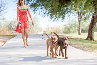 Retractable Dual Doggie Leash with LED Light