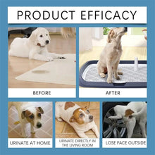 Pet Toilet Training Spray Potty Trainer Corrector Guide Pet To Pee At Fixed Spot Urinate