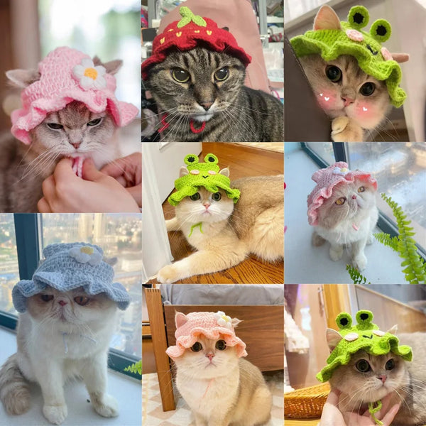 Knitted Cat Hat – Cozy Elastic Pet Hat for Kittens & Puppies, Perfect for Photos & Parties