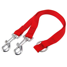 Double Twin Lead Walking Leashes Dog