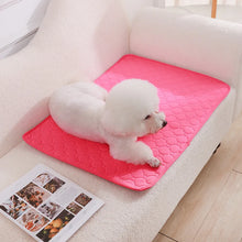 Reusable Dog Pee Pad Blanket – Absorbent, Washable Training Mat for Puppies, Pet Beds & Car Seat Covers