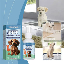 Pet Toilet Training Spray Potty Trainer Corrector Guide Pet To Pee At Fixed Spot Urinate