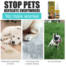 Pet Toilet Training Spray Puppy Positioning Defecation