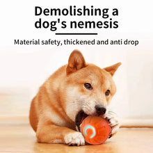 Interactive Cat Ball Toy – Automatic Rolling with Faux Tail, Rechargeable Mouse-Like Toy for Cat & Dog Training