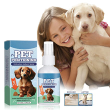 Dog Toilet Training Spray localized defecation inducer,Corrects ,Non-irritating,50ML