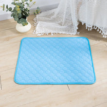 Reusable Dog Pee Pad Blanket – Absorbent, Washable Training Mat for Puppies, Pet Beds & Car Seat Covers
