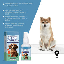 Dog Toilet Training Spray localized defecation inducer,Corrects ,Non-irritating,50ML