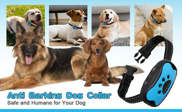 USB Rechargeable Anti-Bark Dog Collar – Ultrasonic & Vibration Training Device to Gently Stop Barking    Kitten Pups - No Shock Pet Friendly