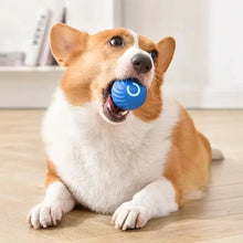 Interactive Cat Ball Toy – Automatic Rolling with Faux Tail, Rechargeable Mouse-Like Toy for Cat & Dog Training