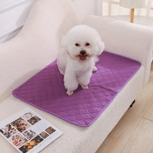 Reusable Dog Pee Pad Blanket – Absorbent, Washable Training Mat for Puppies, Pet Beds & Car Seat Covers