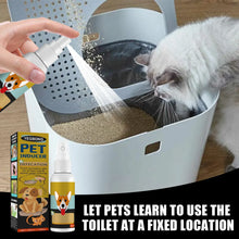 Pet Potty Training Spray – Helps Dogs & Cats with Urine & Stool Positioning Best for Kitten And Puppies