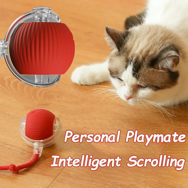 Interactive Cat Ball Toy – Automatic Rolling with Faux Tail, Rechargeable Mouse-Like Toy for Cat & Dog Training