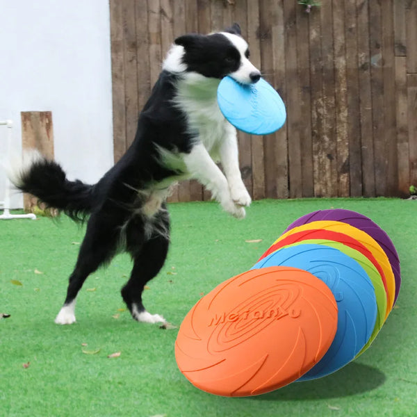 Bite-Resistant Dog Flying Disc – Multifunction Puppy Training Toy for Outdoor Interactive Play