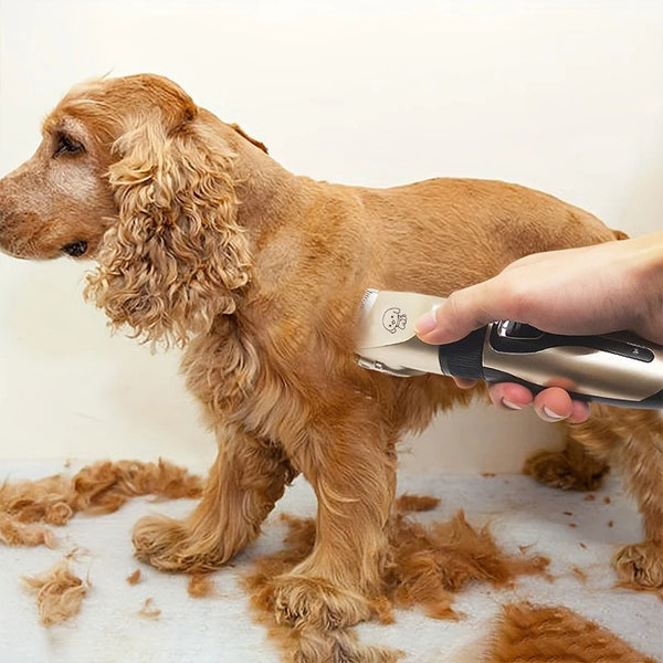 Electric Pet Hair Trimmer Kit