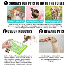 Pet Toilet Training Spray Puppy Positioning Defecation