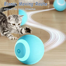 Interactive Cat Ball Toy – Automatic Rolling with Faux Tail, Rechargeable Mouse-Like Toy for Cat & Dog Training