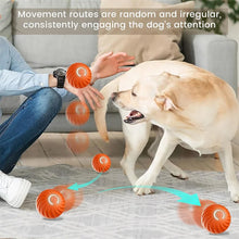 Interactive Cat Ball Toy – Automatic Rolling with Faux Tail, Rechargeable Mouse-Like Toy for Cat & Dog Training