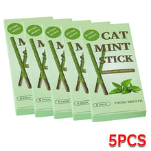6pcs Natural Silvervine Cat Sticks – Mint Chew Toys for Scratching, Biting, Teeth Cleaning & Play Excitement