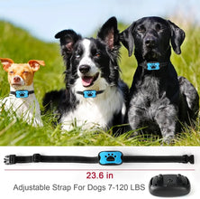 USB Rechargeable Anti-Bark Dog Collar – Ultrasonic & Vibration Training Device to Gently Stop Barking    Kitten Pups - No Shock Pet Friendly