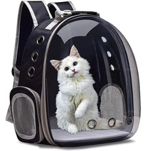 Transparent Bubble Pet Carrier Backpack – Breathable Travel Bag for Cats, Puppies, Kittens & Small Animals