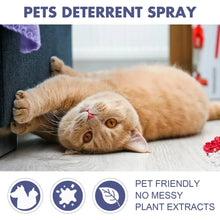 Retractable Dual Doggie Leash with LED Light